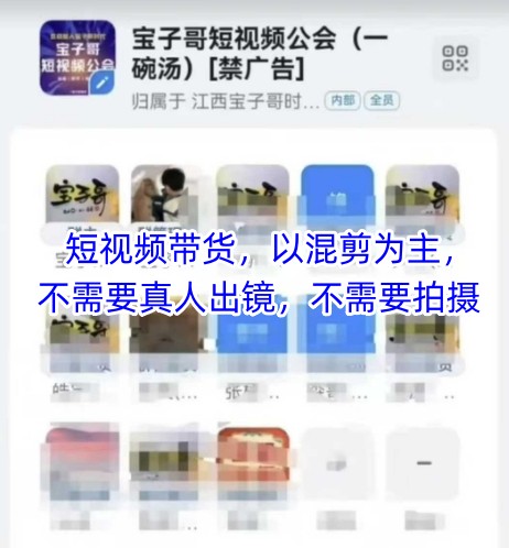 宝子哥头部团队短视频带货，以混剪为主，不需要真人出镜，不需要拍摄【更新11月】-网创星球