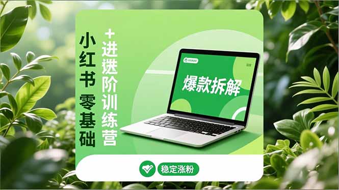 小红书零基础+高阶训练营：安全养号、爆款拆解、长效运营，实现稳定涨粉与变现-网创星球