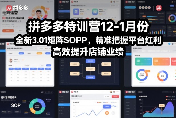 拼多多特训营12-1月份，全新3.01矩阵Sop，精准把握平台红利，高效提升店铺业绩-网创星球