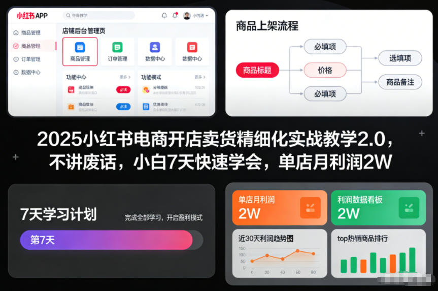 2025小红书电商开店卖货精细化实战教学2.0，不讲废话，小白7天快速学会，单店月利润2W-网创星球