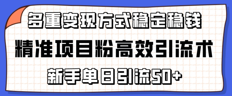 精准项目粉高效引流术，新手单日引流50+，多重变现方式稳定赚钱-网创星球