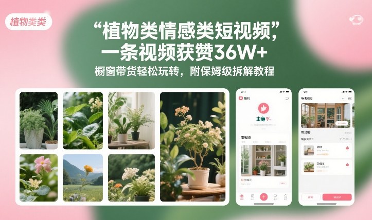 植物类情感类短视频，一条视频获赞36W+，橱窗带货轻松玩转，附保姆级拆解教程-网创星球