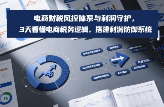 电商财税风控体系与利润守护，3天看懂电商税务逻辑，搭建利润防御系统-网创星球