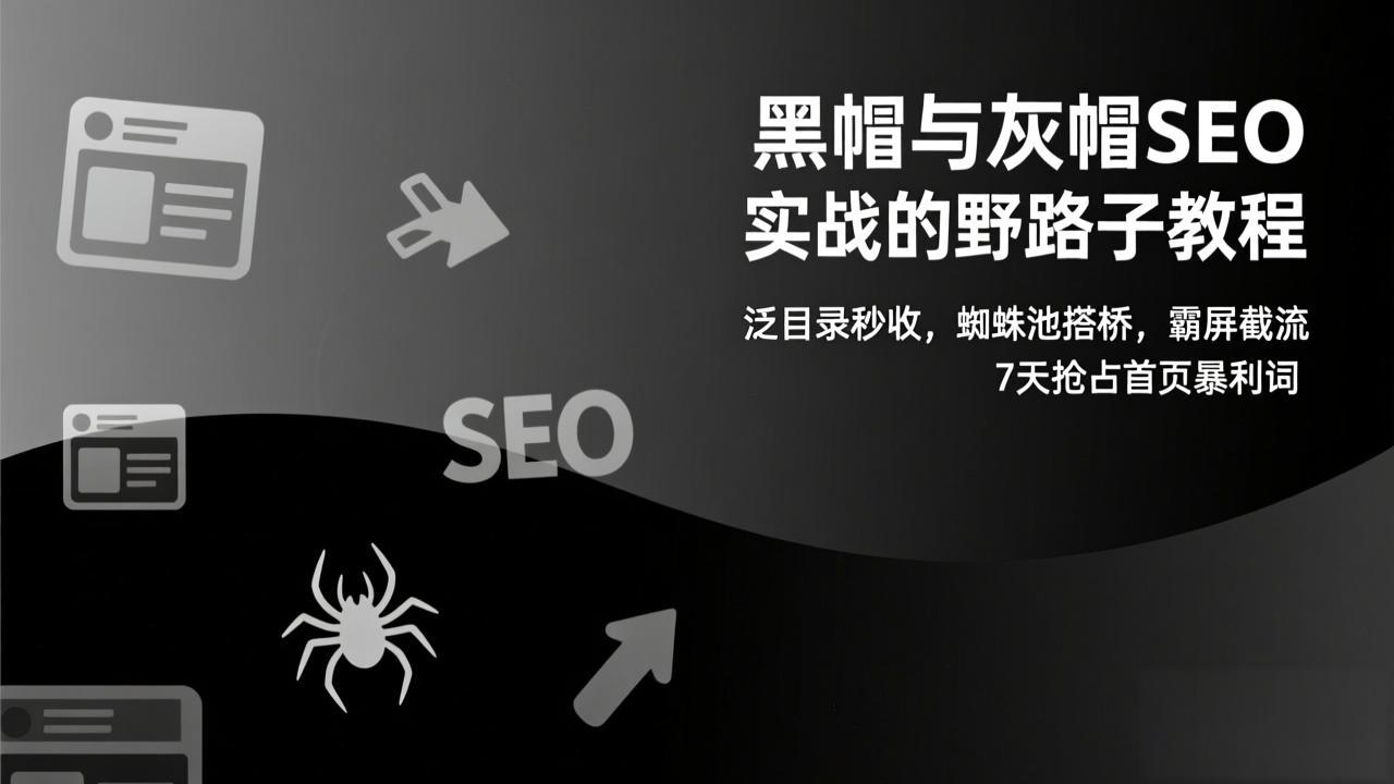 黑帽与灰帽SEO实战的野路子教程：泛目录秒收，蜘蛛池搭桥，霸屏截流，7天抢占首页暴利词-网创星球