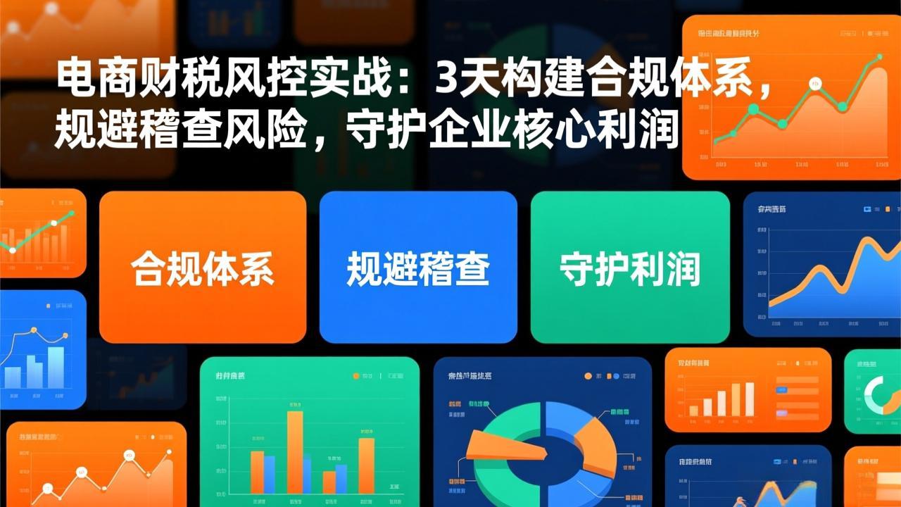 电商财税风控实战：3天构建合规体系，规避稽查风险，守护企业核心利润-网创星球