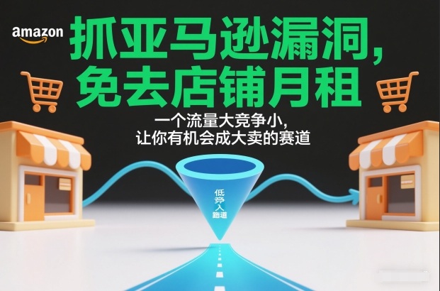 抓亚马逊漏洞，免去店铺月租，一个流量大竞争小，让你有机会成大卖的赛道-网创星球